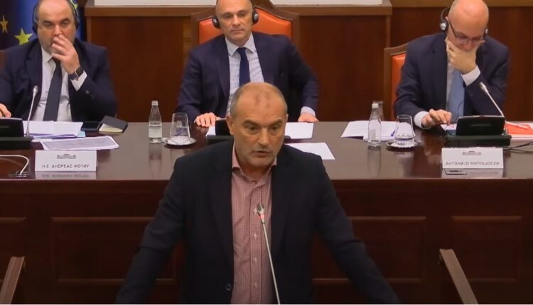 Halil Snopçe: Pa reforma reale dhe ndryshime kushtetuese, eurointegrimi i Maqedonisë do të ngrijë