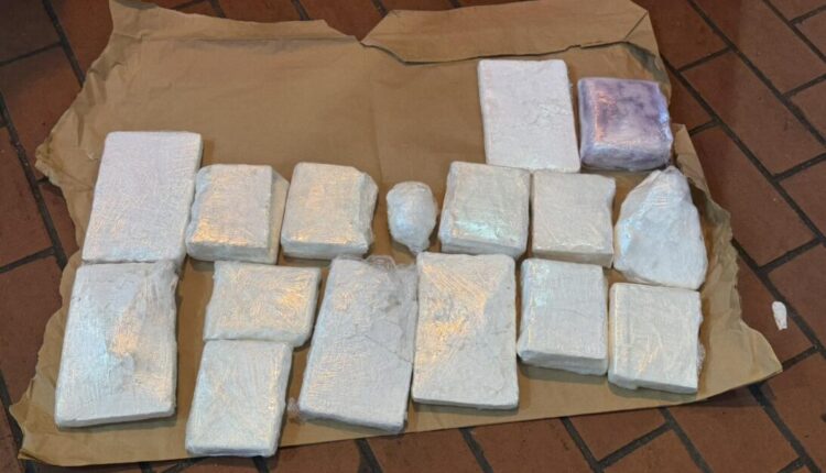 Është arrestuar një 26 vjeçar, u kap me 10 kilogram kokainë në fshatin Koliçan të Shkupit (VIDEO)