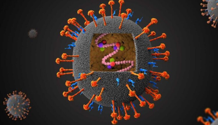 Rrezik nga epidemia – Azia merr masa ndaj virusit Nipah