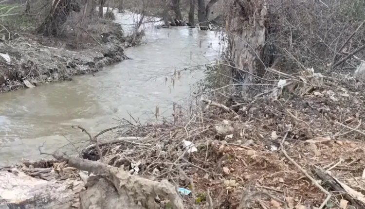 Si e shndërroi pakujdesia njerëzore shiun në katastrofë?!