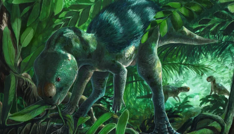 Një specie e re dinosauri e vogël është zbuluar në Spanjë