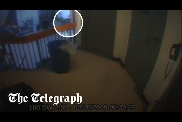 Publikohen pamjet kur rojet gjejnë Jeffrey Epstein të pajetë në qeli (VIDEO)