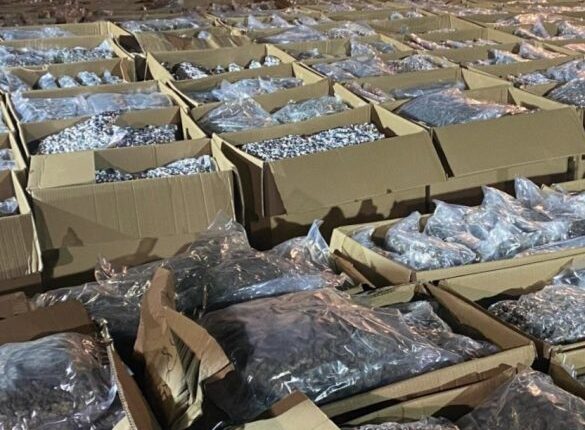 Plot 61 kompani kanë marrë leje për kultivimin e marihuanës, 43 janë aktive, ndërsa 14 u janë hequr licencat