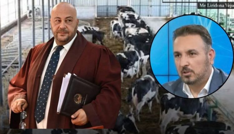 Bekim Fazliu “godet” kryetarin e Kushtetueses: Në fermën e RMV-së ka edhe Stallë Kushtetuese, ku në krye të saj ri një muzat