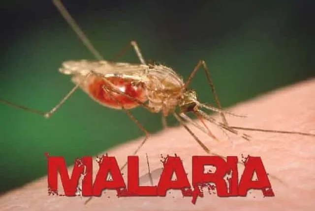 Malaria? Qytetar nga Shkupi dhe Kumanova të infektuar pas udhëtimeve në Afrikë