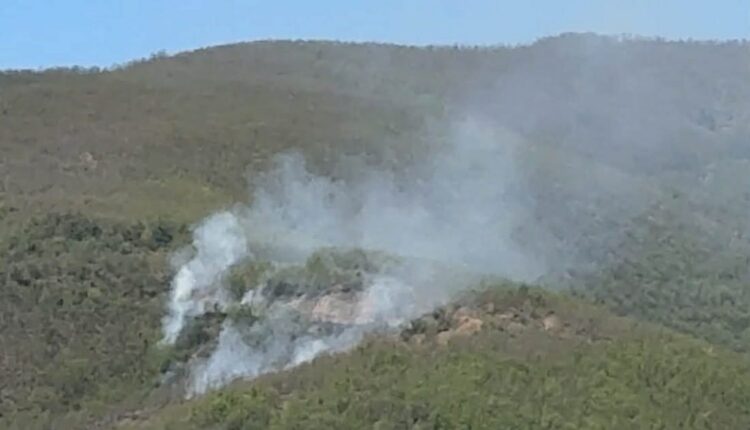 10 hektarë pyll i ulët i djegur pranë Glazhnjës në komunën e Likovës