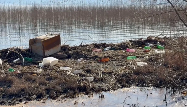 Ndotja e Liqenit të Ohrit alarmon ekspertët, biologët kërkojnë masa urgjente për mbrojtjen e tij