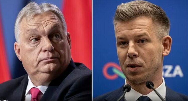 Del sondazhi i fundit i BBC për zgjedhjet në Hungari, ja cili del fitues mes Orban dhe Magyar