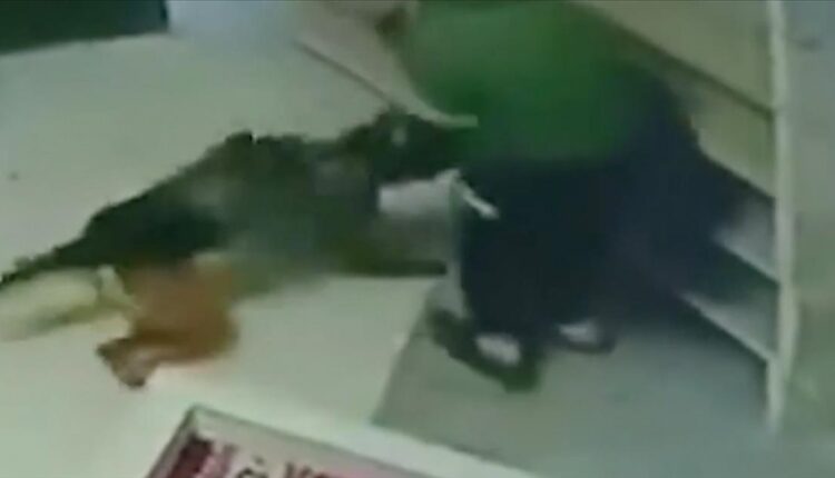 Ushtarët izraelitë bastisën një xhami në Bregun Perëndimor dhe sulmuan me qen një palestinez (VIDEO)