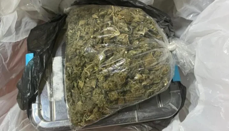 Tentim për kontrabandë droge në kufirin me Greqinë, kapet marihuana e fshehur në paketime ushqimore