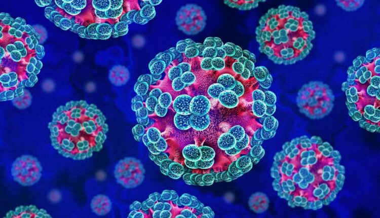 ISHP: Për momentin në Maqedoni nuk ka raste të regjistruara me hantavirus