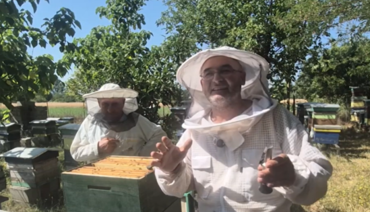 Rrugëtimi i mjaltit nga bletët tek kavanozi! Bletari Nusmir Ramdani zbulon sekretet e mjaltit cilësor