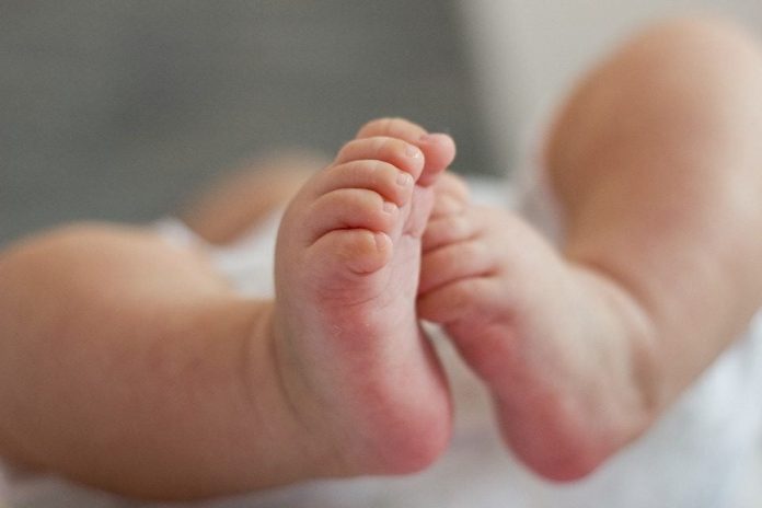 Është ulur për 1 3  numri i lindjeve të foshnjave në Maqedoni