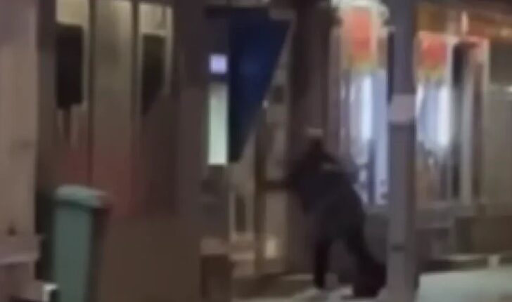 Çmendet në mes të Resnjës! Burri sulmon bankomatin me sëpatë, pamjet bëhen virale (VIDEO)