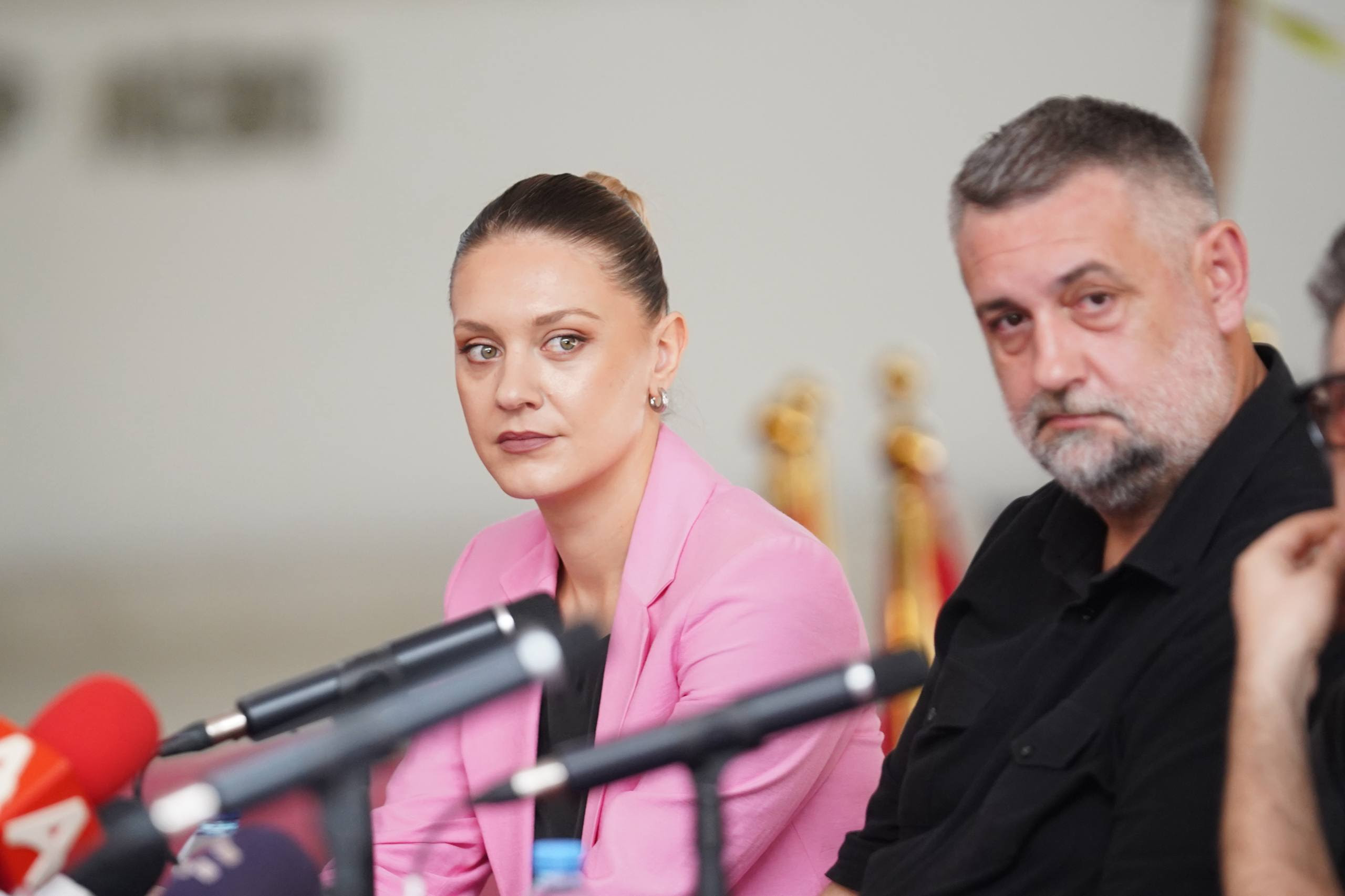 Miteva  Mbi 120 artistë maqedonas do të jenë pjesë e projektit për shënimin e 35 vjetorit të pavarësisë së Maqedonisë