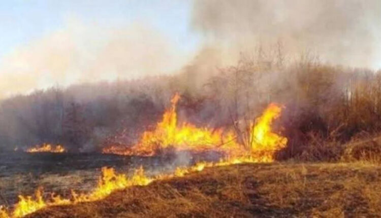 Një zjarr aktiv në territorin e vendit, gjashtë të tjerë janë shuar