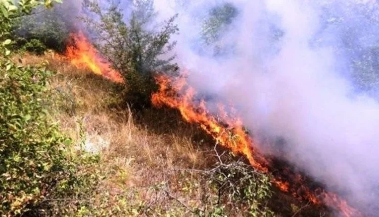 QMK: Gjatë 24 orëve të fundit janë regjistruar 17 zjarre në ambiente të hapura