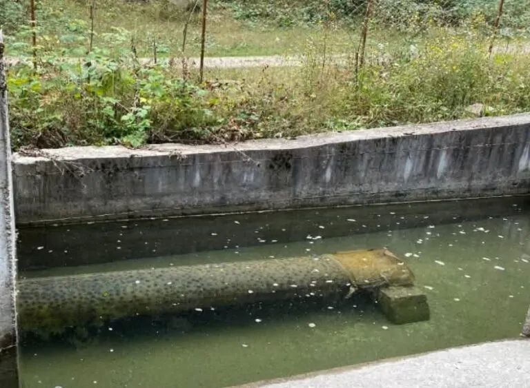 NPK  Sharri   Uji në Tetovë është i sigurt për pije
