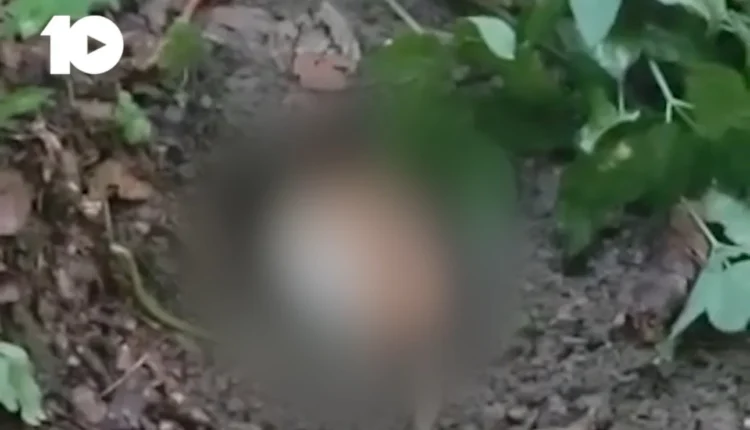 Dyshohet se u përkasin 23 intelektualëve të zhdukur, zbulohen eshtra njerëzore në Zubin Potok