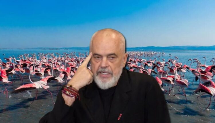 Zvërneci, Rama: Patriotizëm nuk është të refuzosh investimet e huaja