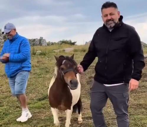 Bekë Berisha ironizon: “Hajde me Dimal Bashen”, shfaqet pranë një kali poni