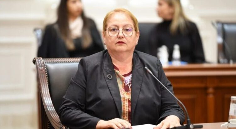 Janevska: Janë mbyllur 18 institute, pas tyre priten masa edhe ndaj disa fakulteteve dhe universiteteve private
