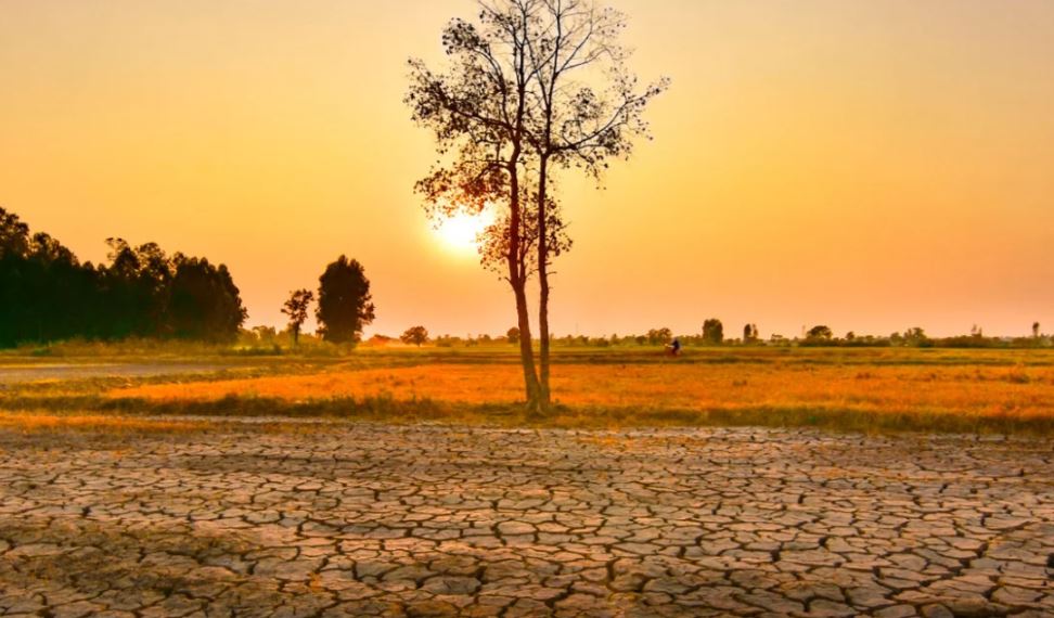 Paralajmërimi i OKB  Fenomeni El Niño është jashtëzakonisht i fortë  çfarë tregojnë të dhënat për Evropën 