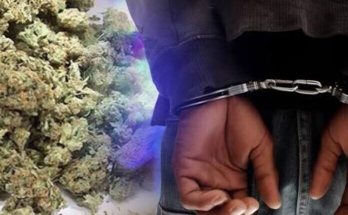 Arrestohet 24 vjeçari nga Treboshi, kapet me lëndë narkotike
