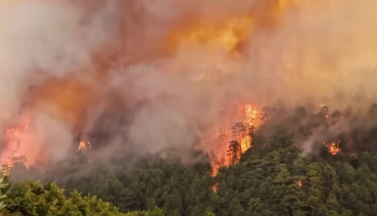 Lamallari: Zjarrvënia është krim, dënohet deri në 15 vite burg