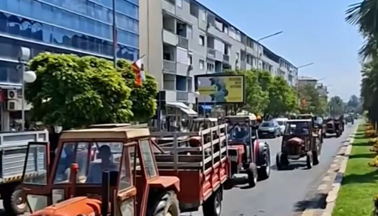 Bujqit me traktorë bllokuan Strumicën: “U dogjëm në fusha në këtë vapë, ata duan ta marrin specin pothuajse falas”
