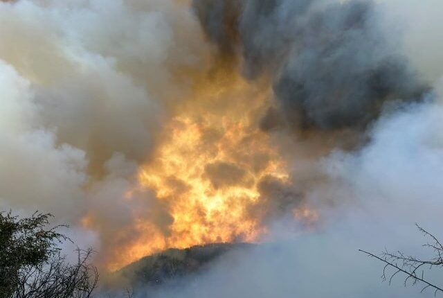 Shqipëria ende nën flakë/ 7 vatra aktive, mbi 580 forca në terren dhe betejë nga ajri në Dajt e Gurë-Lurë