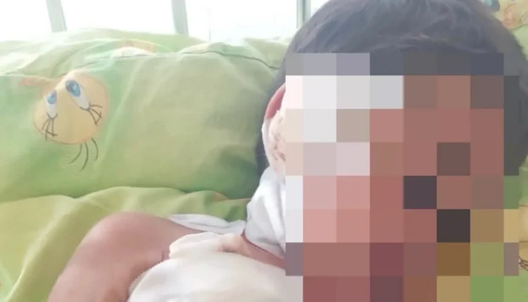Fëmija një vjeç e gjysmë kafshohet nga qeni endacak, familja kërkon reagim urgjent nga institucionet