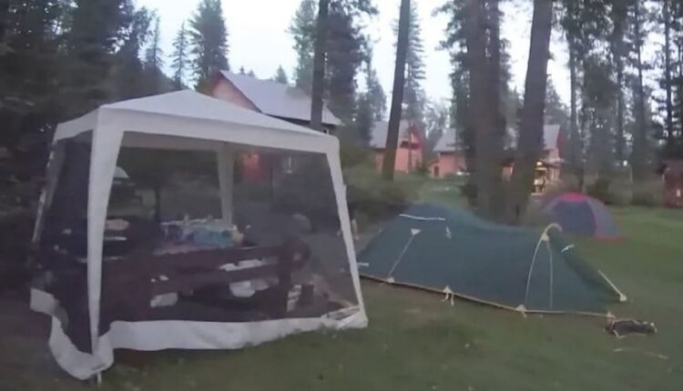 Ishte fejuar një ditë më parë, 29-vjeçarja vritet nga ariu në kamping