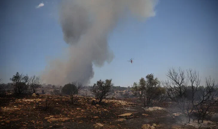 Greqi, zjarret kanë djegur rreth 70 mijë hektarë në rajonin e Atikës gjatë 9 viteve të fundit