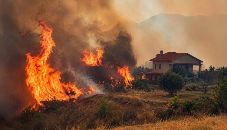 Tre zjarre aktive në Tetovë, Ameti: Zjarrfikësit po përballen njëkohësisht me disa vatra