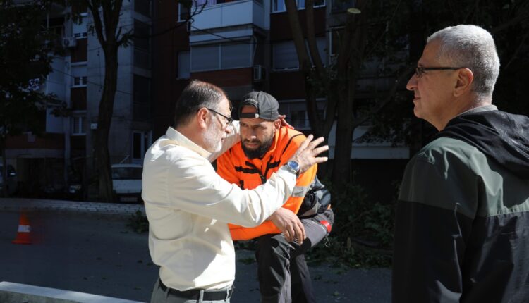 Vazhdojnë intervenimet në gjelbërimin publik në Çair, aksion në rrugën “Metodija Mitevski”