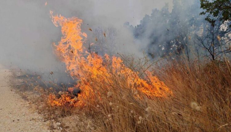 Arrestohet 55 vjeçari nga fshati Gajre, shkaktoi zjarr në “Malin Zeska”