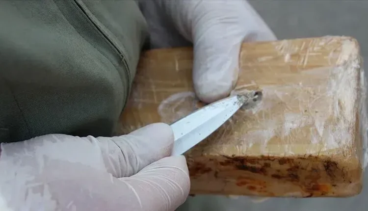 Spanja sekuestron mbi 1,2 ton kokainë të fshehur në një ngarkesë me arra kokosi