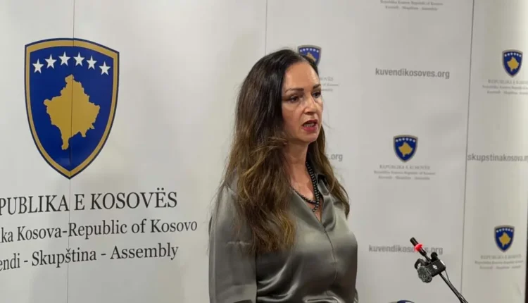 Nagavci tregon çfarë do të hetojë Komisioni për rastin e Arlinda Zekajt