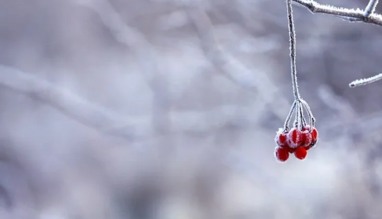 Valë polare me temperatura të ulta së shpejti në Maqedoninë e Veriut dhe Ballkan