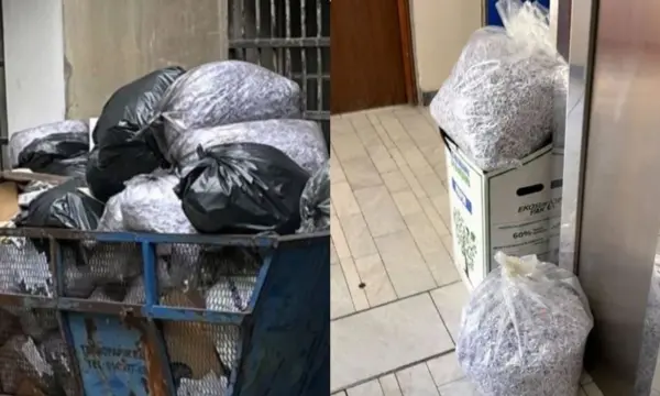 Pas fitores së studentëve  dyshime për shkatërrim dokumentesh në institucionet serbe  përfshi edhe Kosovën