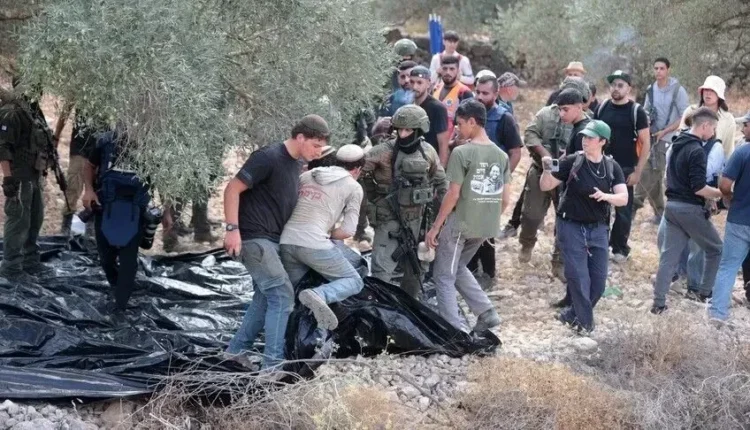 Pushtuesit izraelitë sulmojnë vjelësit e ullinjve në Bregun Perëndimor, u vënë zjarrin 3 automjeteve