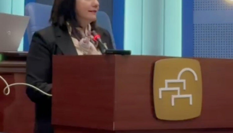 Arlinda Imeri Shllaku : Buxheti i Çairit flet qart