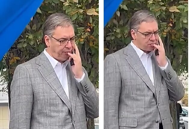 Zgjedhjet në Serbi, Vuçiç pret në radhë për të votuar, pamjet bëhen virale (VIDEO)